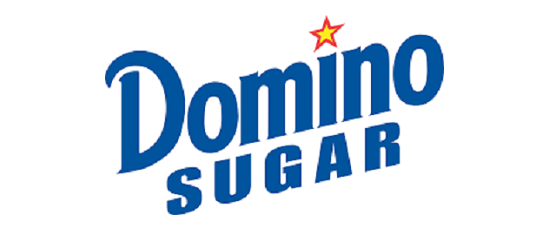 Domino Domino logo image