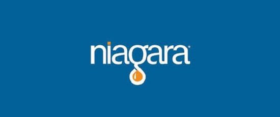 Niagara Niagara logo image